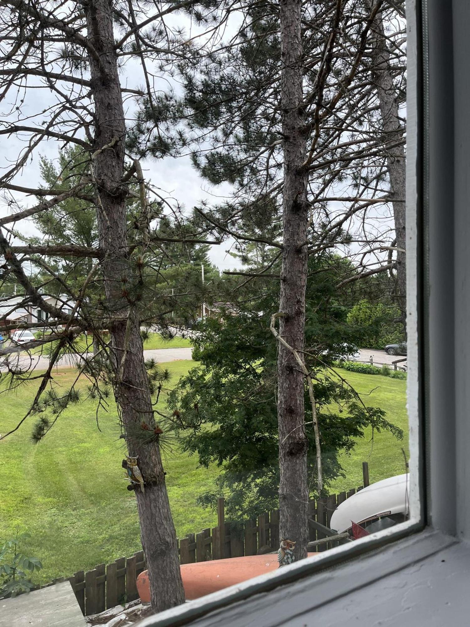 Auberge De Ferme-Neuve Lac-Saint-Paul Eksteriør bilde